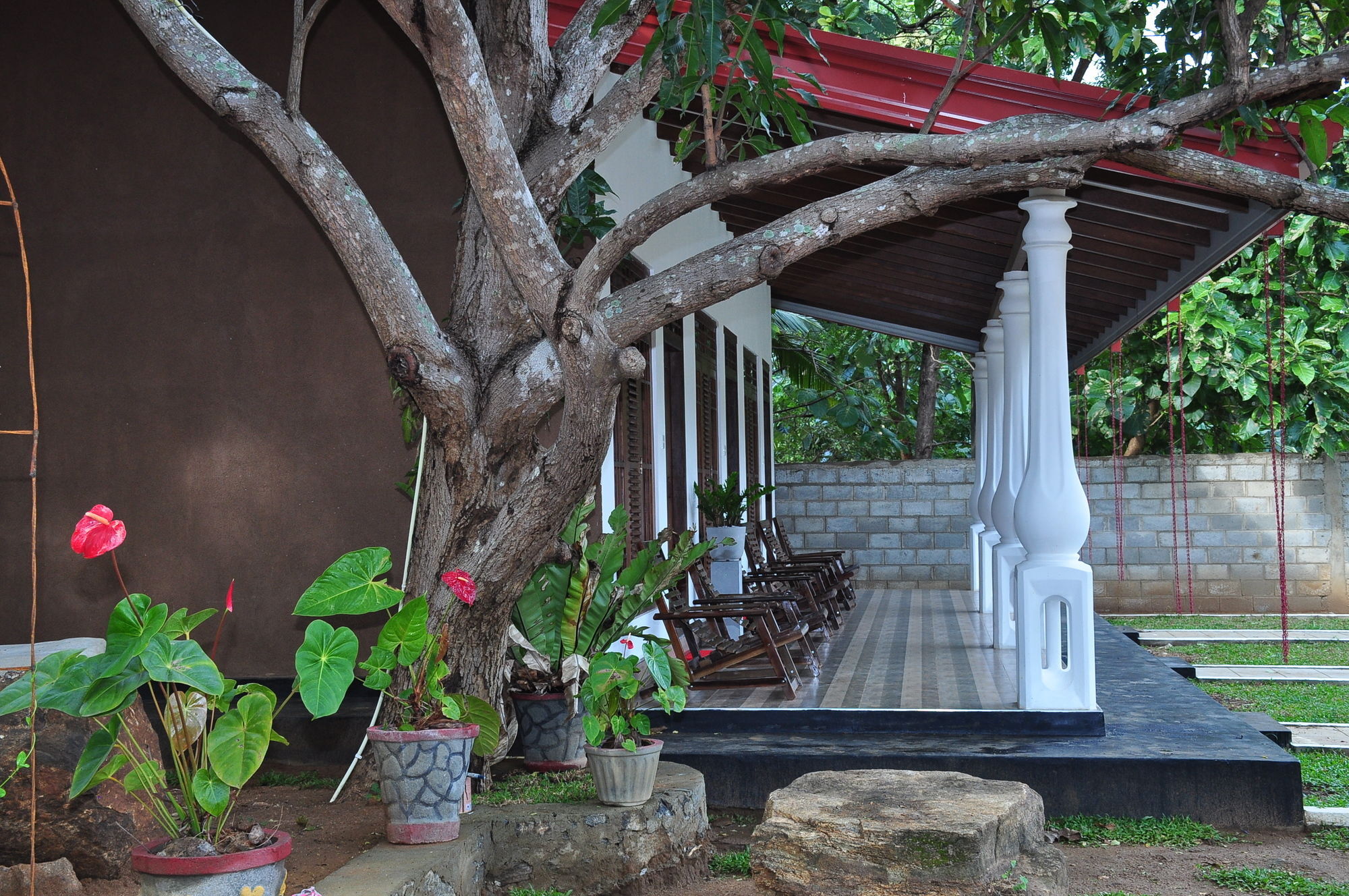 Winmi Resort Habarana Extérieur photo
