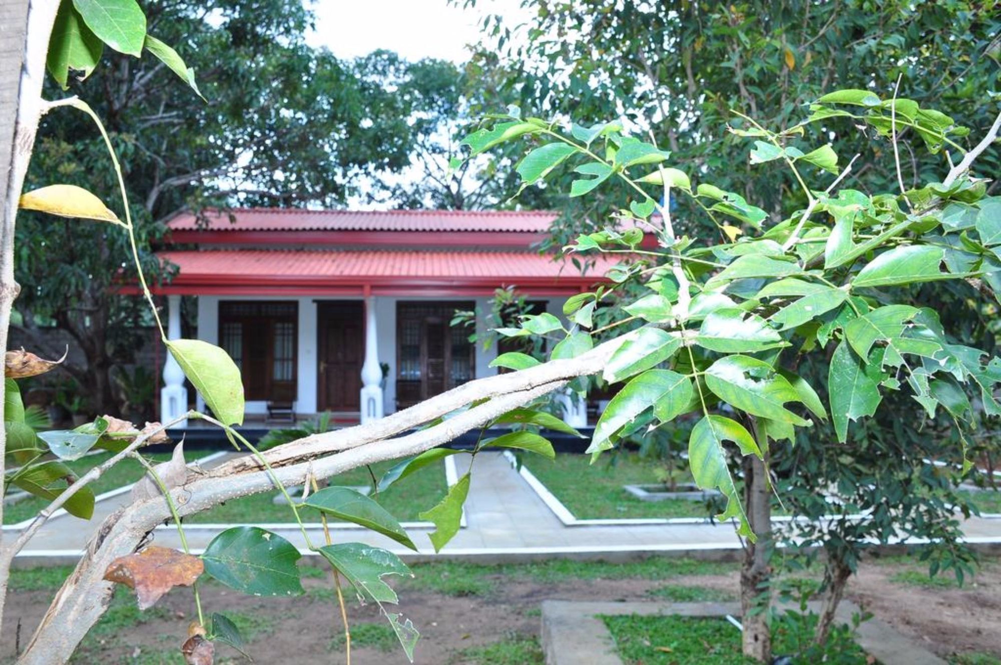 Winmi Resort Habarana Extérieur photo